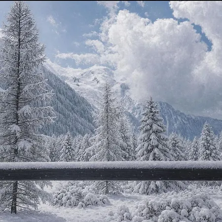 Overlooking The Mont Blanc Range Appartement Chamonix